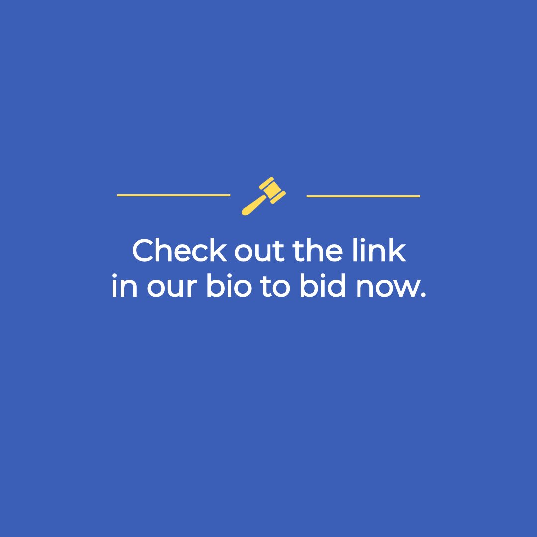 bidncatch's tweet image. Bid, Win, Save! Take home the Bosch Food Processor by bidding in our auction. Get premium quality for the price you choose! 💸
Bid Now! 
🔗 bidncatch.com/products/bosch…

#Bidncatch#Auction #Bosch #Kitchen #uae #unitedarabemirates