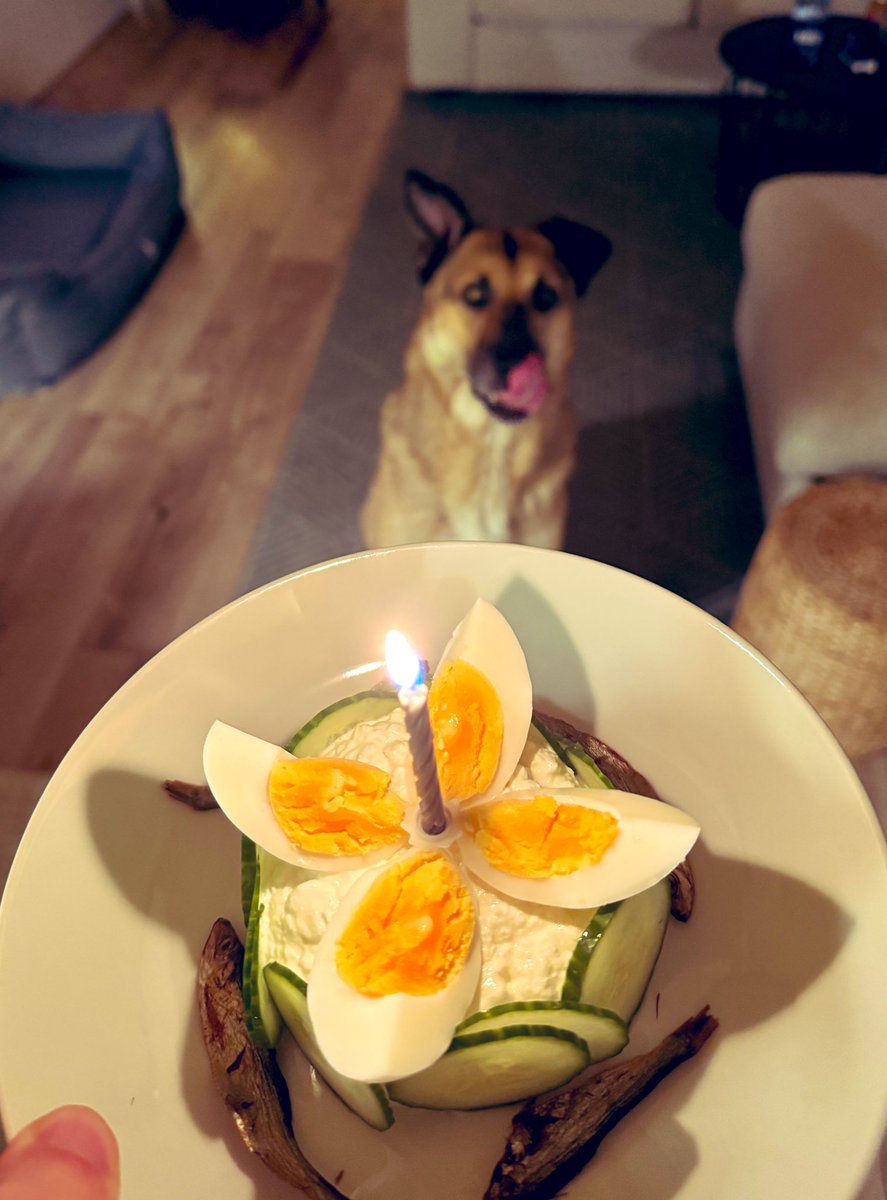Meint ihr, Goodest Birthday Boy Eddie freut sich über seine Geburtstags"torte"? 🎂