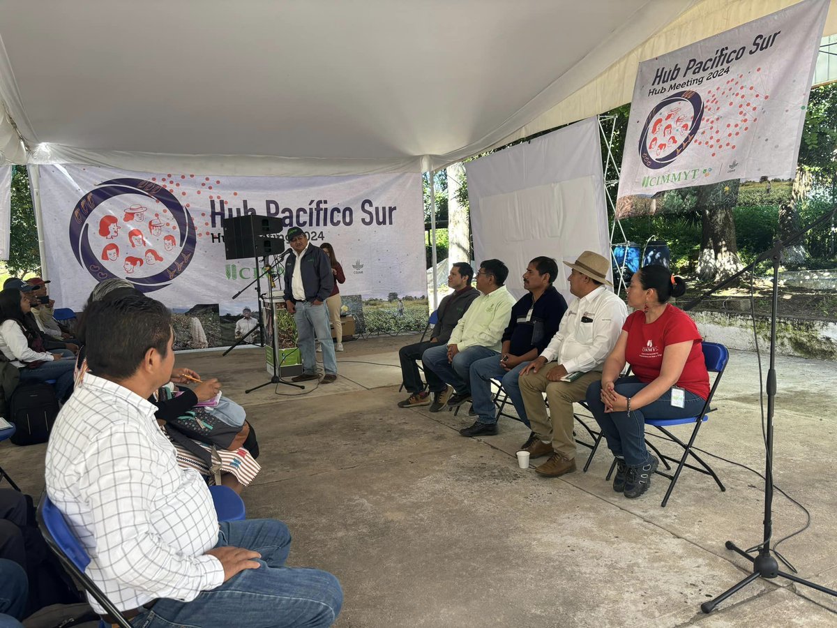 ACCIMMYT's tweet image. 🌱¡Hoy, en el segundo día del Hub Meeting Pacífico Sur 2024, recibimos a autoridades locales y líderes agrícolas que se unen para impulsar la innovación en Oaxaca!  #hubmeeting #Sefader