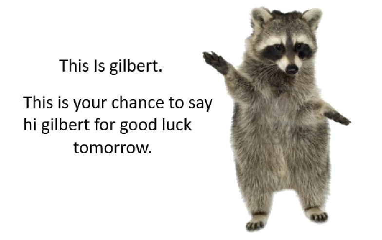 Why you should have a Raccoon tweet media