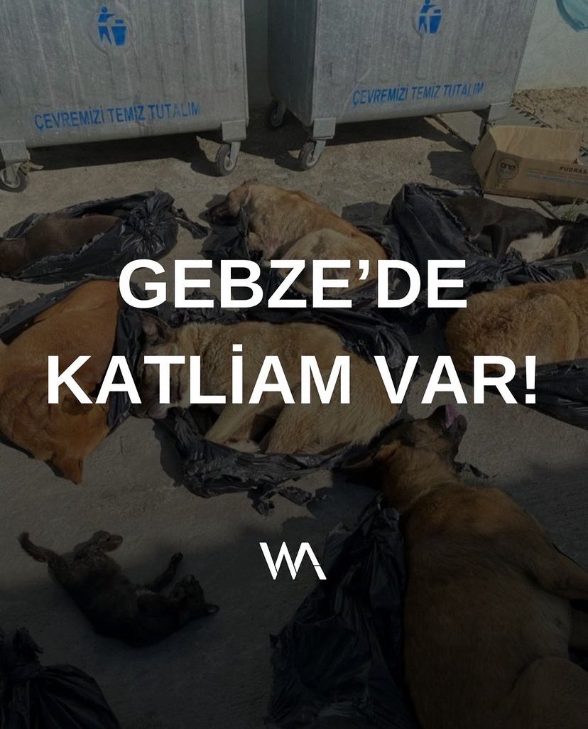 #GebzedeKatliamVar #YasayıGeriÇek!