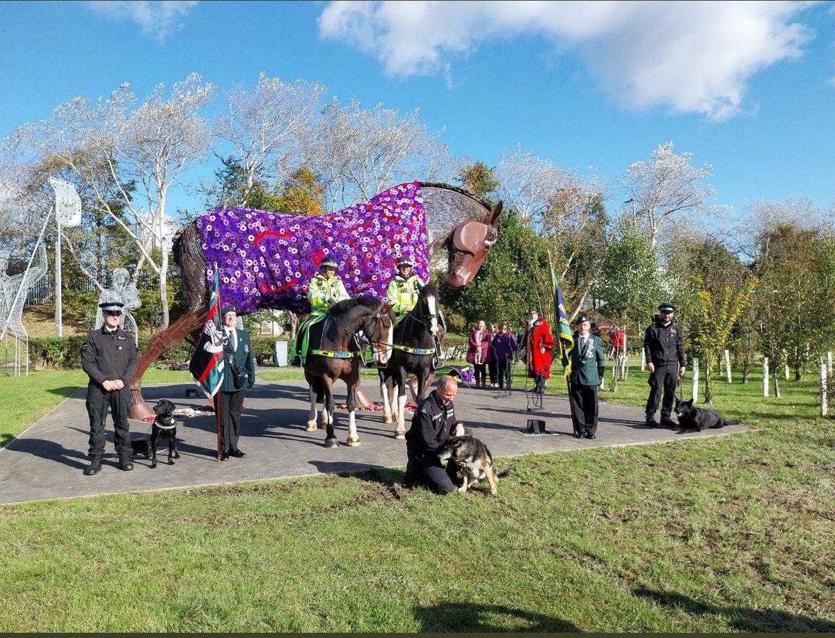 Murphy's Army Purple Poppy Campaign tweet media