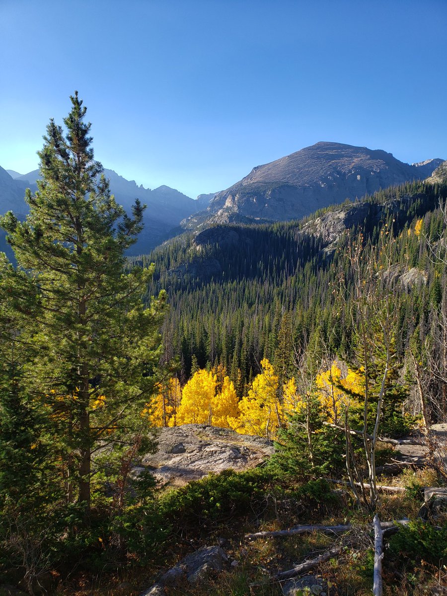 AOS 2024 in Colorado was an awesome experience! It was my first big conference, and I presented a poster on my undergraduate thesis work on Yellow-rumped Warblers. I also met some amazing people and saw Ptarmigans and Rosy-finches. Already counting down the days until next year!