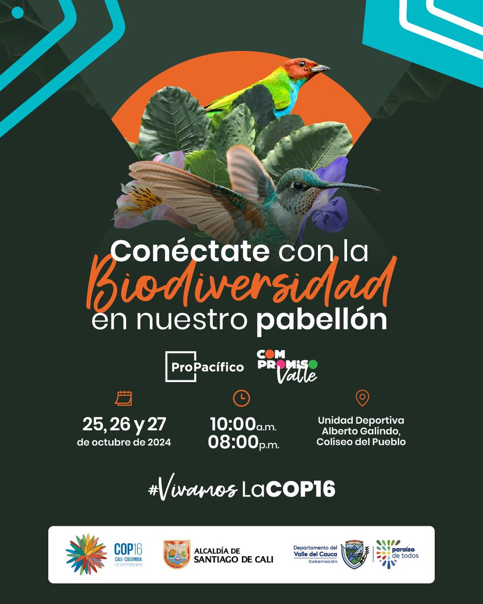 ProPacífico (@propacificoorg) on Twitter photo #Prográmate los días 25, 26 y 27 de octubre, para visitar el pabellón de <a href="/ValleCompromiso/">Compromiso Valle</a> y ProPacífico en el Circuito de Biodiversidad ubicado en la Unidad Deportiva Alberto Galindo–Coliseo del Pueblo
🔗Conoce la agenda: bit.ly/COP16Compromis…
#VivamosLaCOP16 #Prográmate los días 25, 26 y 27 de octubre, para visitar el pabellón de <a href="/ValleCompromiso/">Compromiso Valle</a> y ProPacífico en el Circuito de Biodiversidad ubicado en la Unidad Deportiva Alberto Galindo–Coliseo del Pueblo
🔗Conoce la agenda: bit.ly/COP16Compromis…
#VivamosLaCOP16