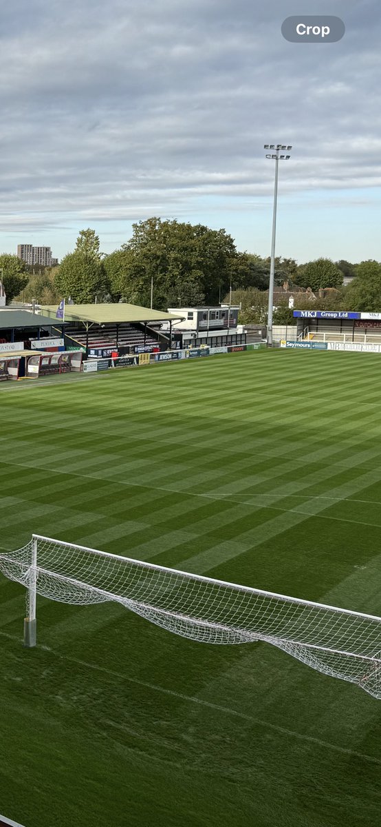 david langheim tweet media