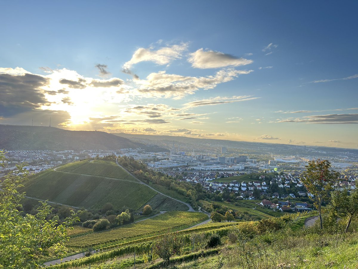 Beautiful evening walk through the vine yards and a view of the Mercedes Benz City.