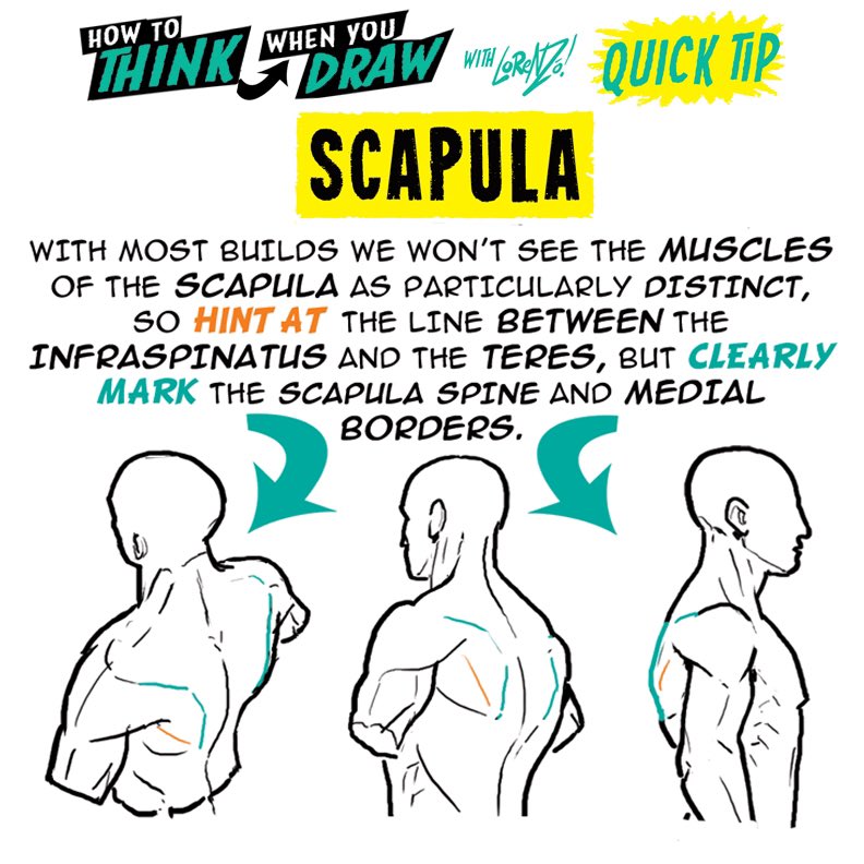 EtheringtonBros's tweet photo. SCAPULA! SCAPULA! PLUS - over on TIKTOK I just posted 4 DIFFERENT TUTORIALS on TORSOS, CRAWLING, COLLARS and SNOUTS ( TIKTOK handle: EtheringtonBros ) - hope they’re useful! 
Lorenzo! #anime #manga #comicart #conceptart #gamedev #illustration #characterdesign #visdev #ART #Draw https://t.co/O4WT7fgJUr