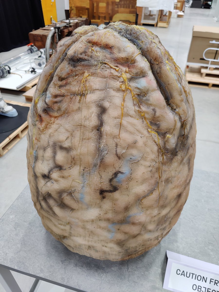 It really is an amazing storage facility, that even has a conservation area.  Currently it's storing over 300k objects! Here are some more photos while I go off to try and find £65m down the back of the sofa to build one of my own! That would solve our museum's storage issues!