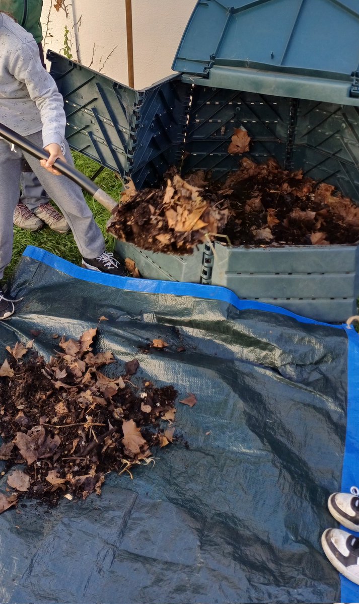 Bruno Mallet⭐⭐ tweet media