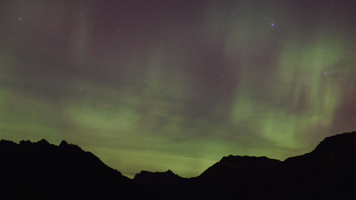 Edward Truitt tweet media