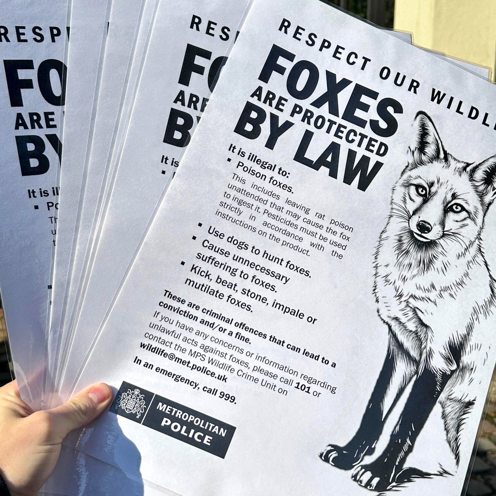 The SNT attended <a href="/HighgateCemeter/">Highgate Cemetery</a> today to provide some crime prevention posters in response to concerns for the welfare of wildlife at the location.