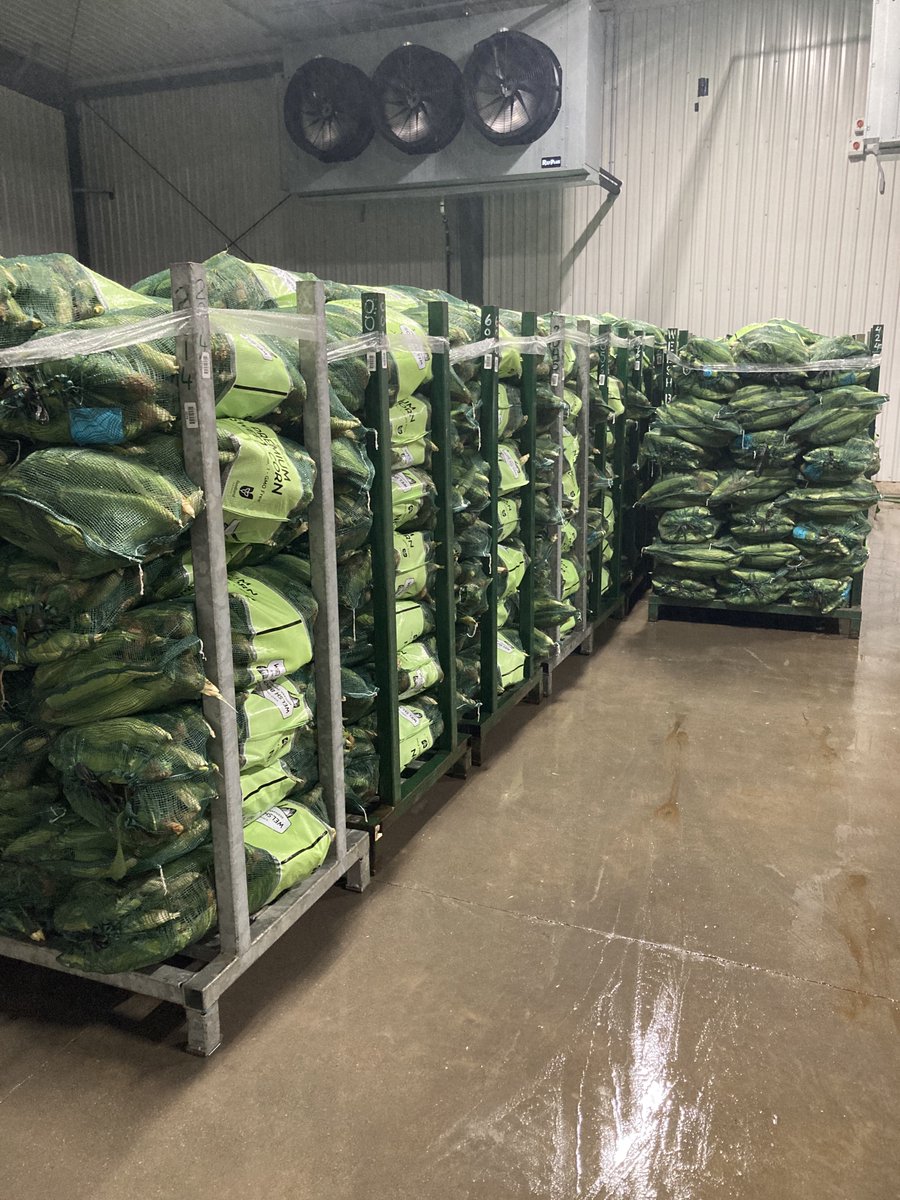 Welsh Bros. tweet media