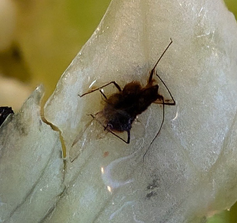 Rob Ousbey tweet media