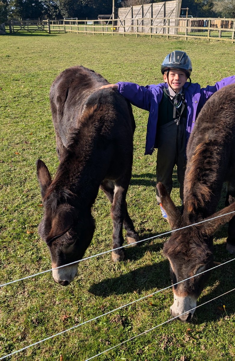 YH_SmallHolding's tweet image. A beautiful frosty autumnal day in the small holding! A busy morning break for #YorkHouseY4 followed by lunchtime club for #YorkHouseY3 @YorkHouseSch #smallholding