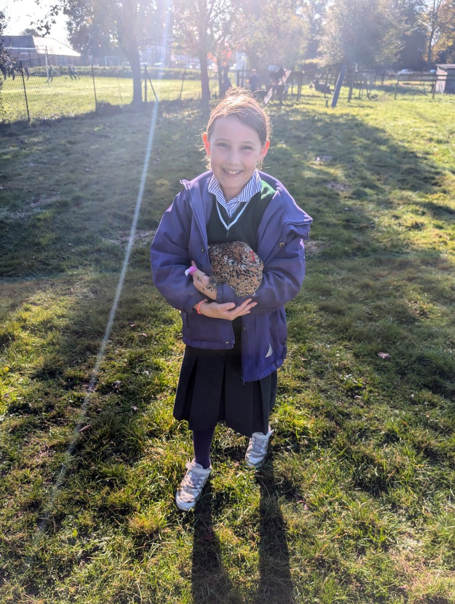 YH_SmallHolding's tweet image. A beautiful frosty autumnal day in the small holding! A busy morning break for #YorkHouseY4 followed by lunchtime club for #YorkHouseY3 @YorkHouseSch #smallholding