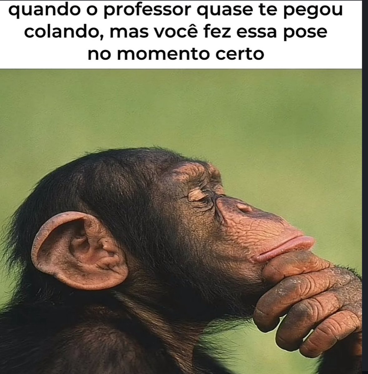 Shitpost só que de verdade (@shitpostverdade) on Twitter photo 