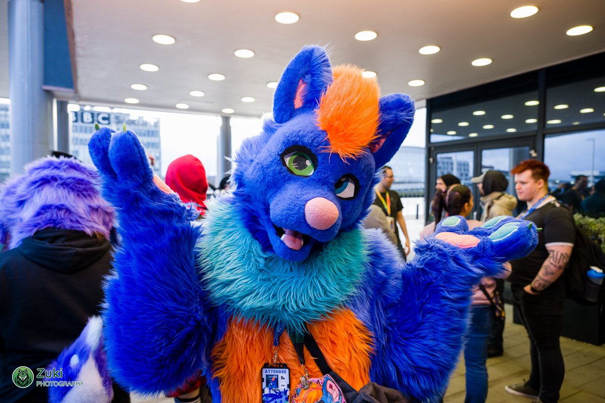 Who's this dog seeing tomorrow at mancfurs?