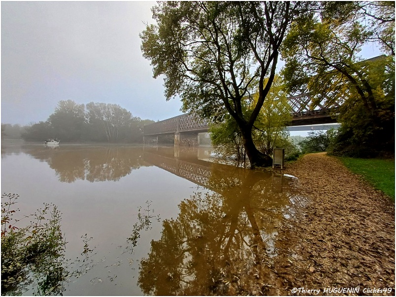 Cliches49's tweet image. Après la petite pluie de la #tempetekirk , l'automne se remet en place avec ses brouillards dans le pays angevin, en particulier à la #confluence de la #Mayenne et de la #Sarthe  dont le niveau d'eau à bien montée, malgré un début d'écourue...
#brouillard #monteedeseaux