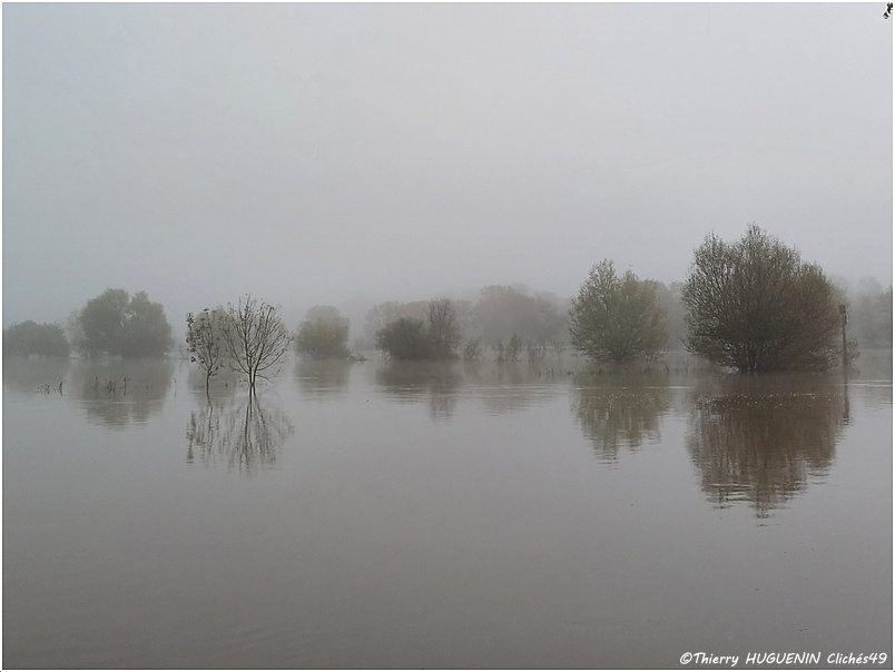 Cliches49's tweet image. Après la petite pluie de la #tempetekirk , l'automne se remet en place avec ses brouillards dans le pays angevin, en particulier à la #confluence de la #Mayenne et de la #Sarthe  dont le niveau d'eau à bien montée, malgré un début d'écourue...
#brouillard #monteedeseaux