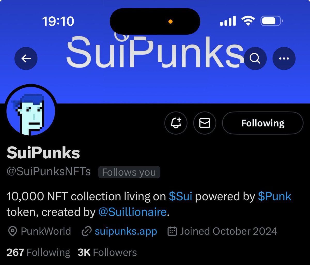 LilsamzyCM's tweet photo. Happy to join @SuiPunksNFTs team. 🔥

Facilitating Collabs &amp; Partnerships.

#StaySynced in the PunkWorld https://t.co/QkYdHRFuUf