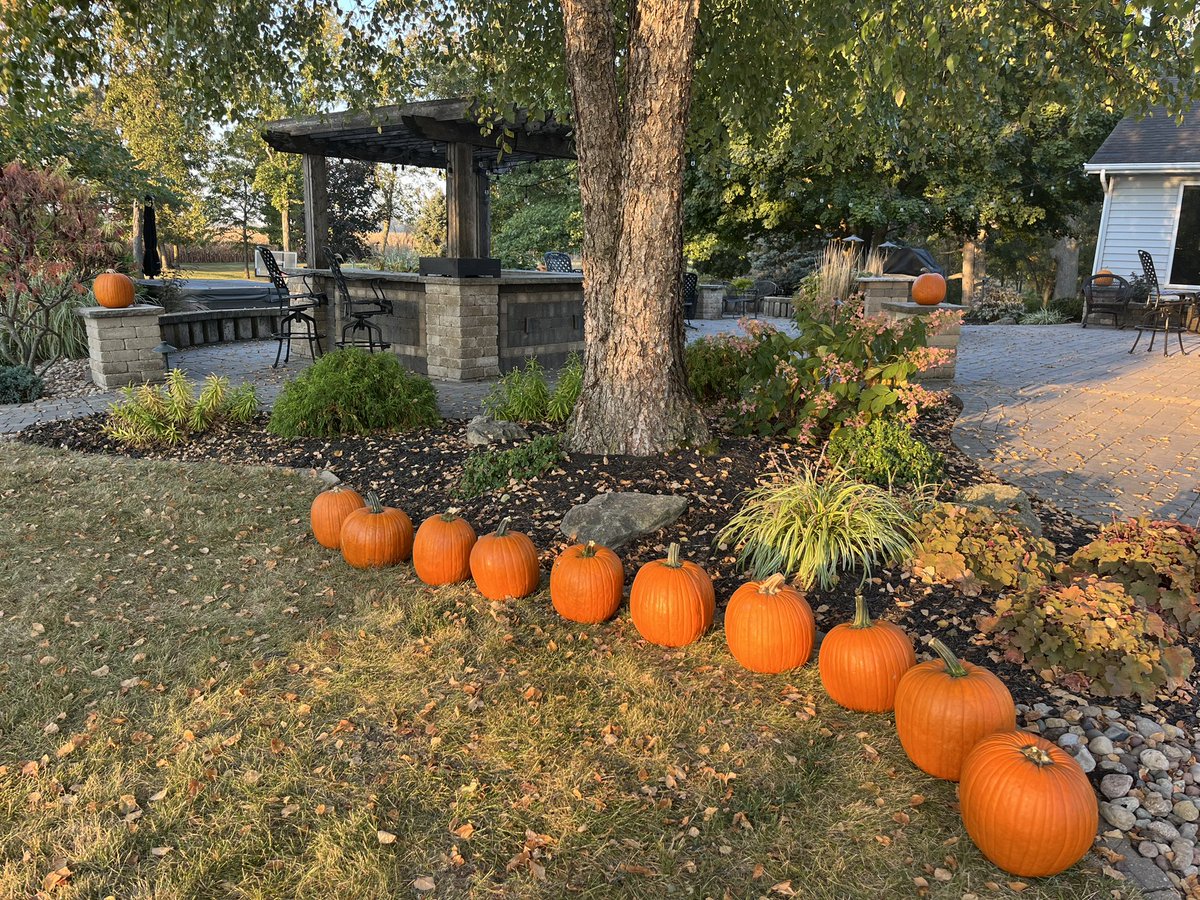 WiltonIowaVB's tweet photo. First we practice. Then team bonding - pumpkin painting. Our tradition. Having fun and making memories. #vb2024 https://t.co/N3LPeJkAXw