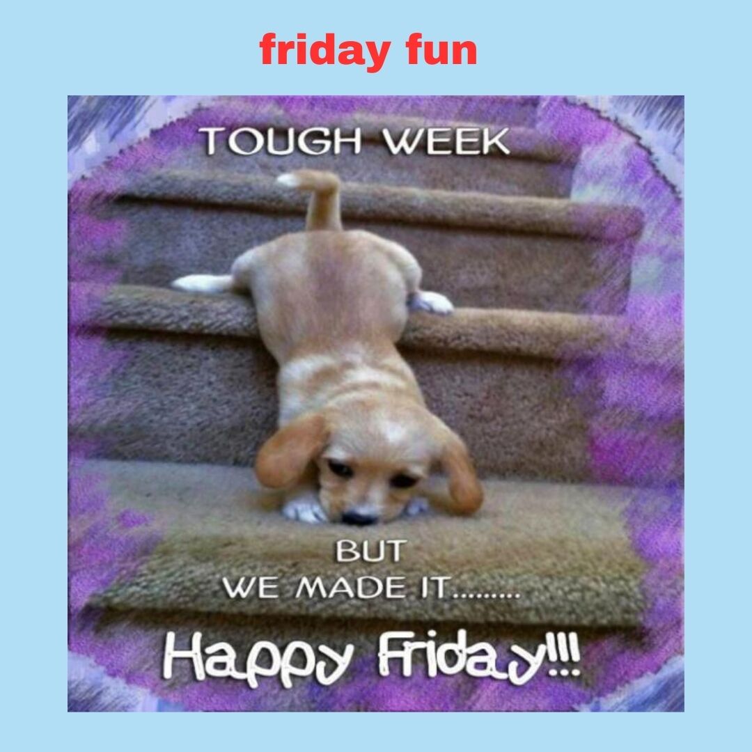Friday Fun! Puppy! 
Holiday Season is filling up fast! Reach out today to book your holiday party! 🎉 🥳 🎉 

Engagement Unlimited... where Engagement Meets Fun!
Call to discuss your upcoming events! We'd love to help you with Team Building, Entertainment &amp; Presentations/Emcees.
