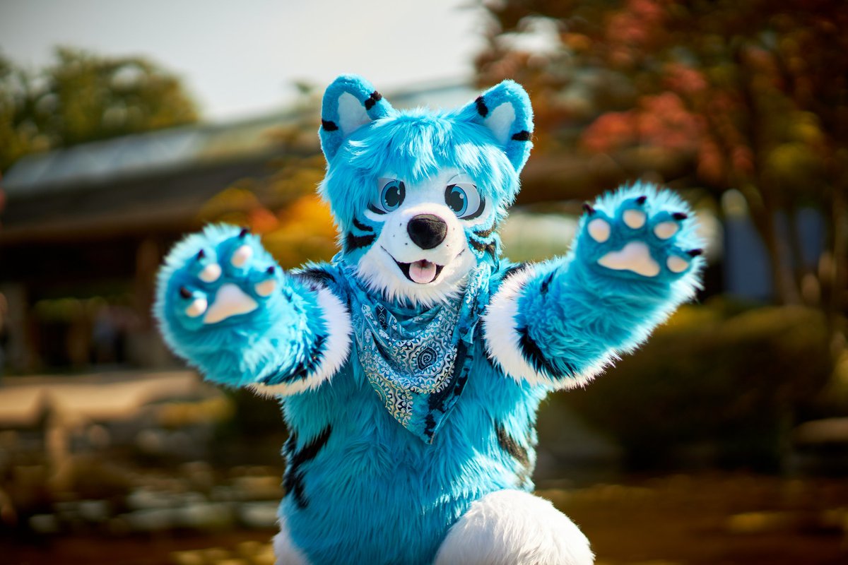 Vuk🔜NFC/2Dance (@vwusky) on Twitter photo C'mere and lemme hug you all day long this #FursuitFriday 🤗🩵
🪡 <a href="/Sasa_Creations/">Sasa Creations🌸🔜TFI|EAST|Furciety</a>
📸 <a href="/MFurPhotography/">📸 Midnight Furtography • Furry Photostudio</a> C'mere and lemme hug you all day long this #FursuitFriday 🤗🩵
🪡 <a href="/Sasa_Creations/">Sasa Creations🌸🔜TFI|EAST|Furciety</a>
📸 <a href="/MFurPhotography/">📸 Midnight Furtography • Furry Photostudio</a>