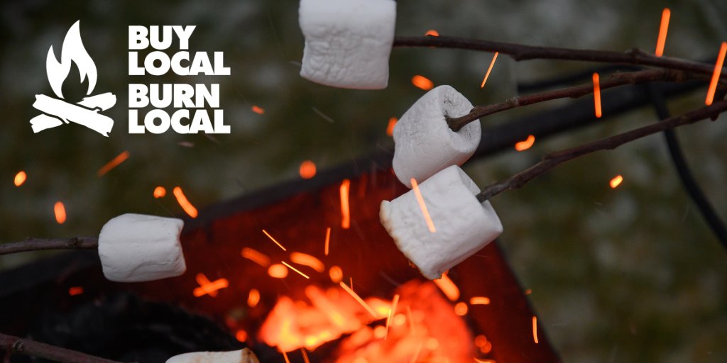 🍂 Enjoy the warmth, not the risk! This Thanksgiving, make sure your firewood is from a local source to avoid spreading invasive insects like emerald ash borer and spotted lanternfly. A small action can make a big difference for our forests. 🌲

#BuyLocalBurnLocal #FirewoodMonth