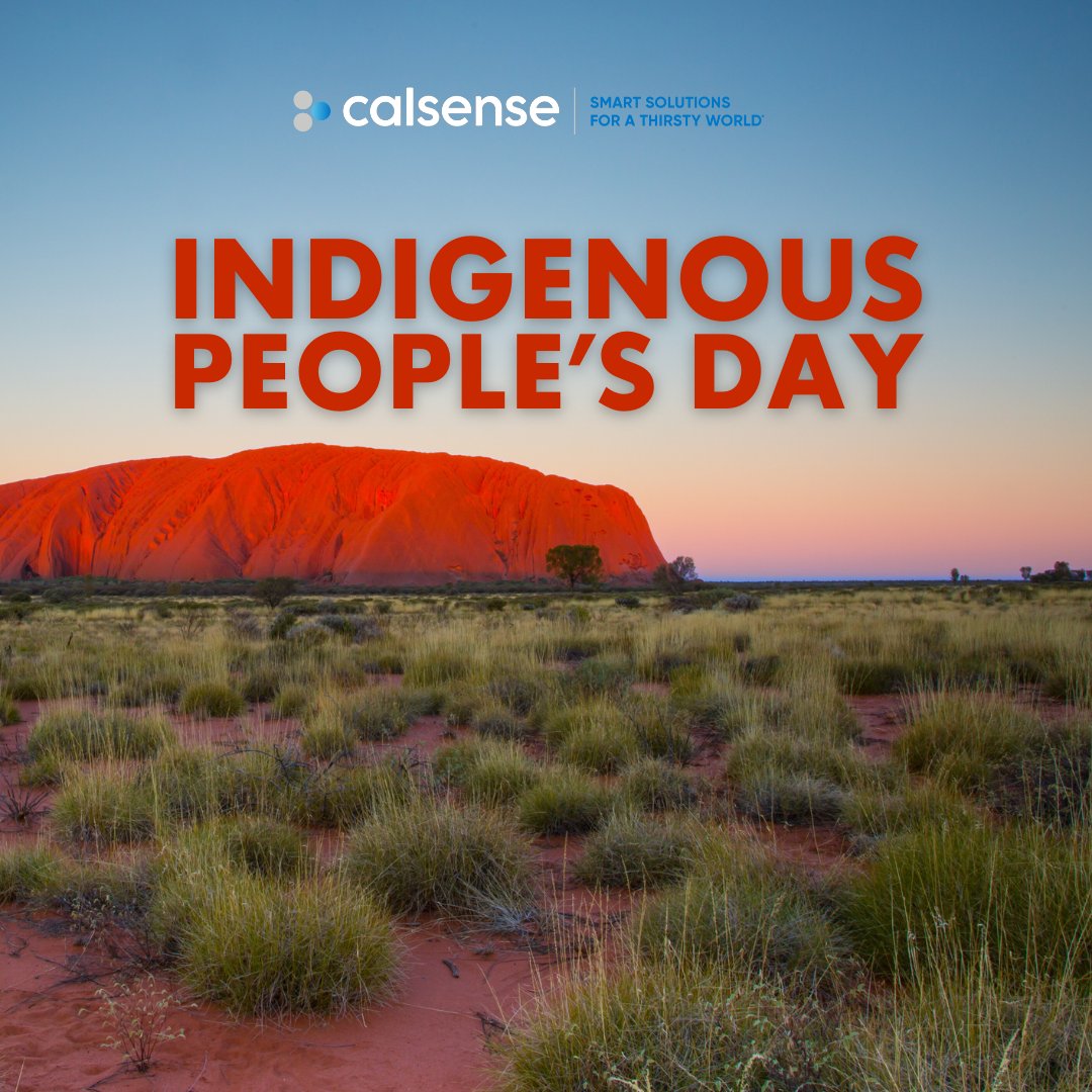 Calsense's tweet photo. In observance of Indigenous People’s Day, our office will be closed on Monday, October 14th. We will resume regular business hours on Tuesday, October 15th. Thank you for your understanding and support.

#IndigenousPeoplesDay #OfficeClosed #Calsense https://t.co/N7inTDL0GR