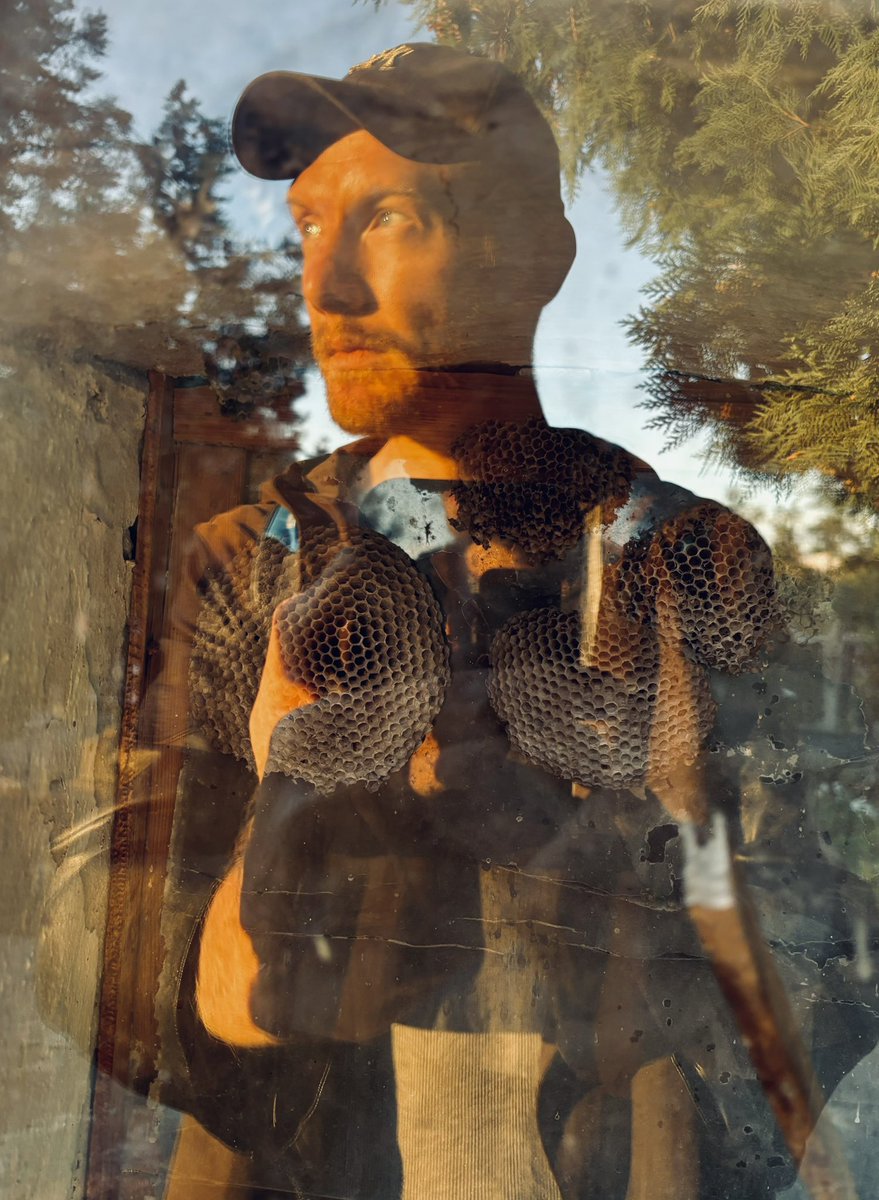 Унибрагилья tweet media