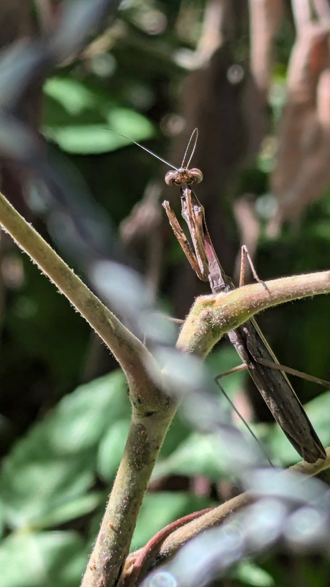 An unforgettable experience at the <a href="/stsforum/">STS forum</a> 2024 young leadership programme, so many new friends and contacts made, many great science discussions and also a few extracurricular activities! <a href="/BBSRC/">Biotechnology and Biological Sciences Research</a> <a href="/imperialcollege/">Imperial College London</a> <a href="/UKRI_News/">UK Research and Innovation</a> <a href="/MRC_LMS/">MRC Laboratory of Medical Sciences (LMS)</a>