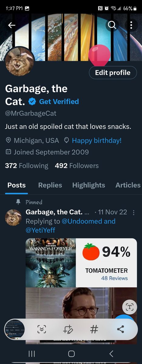 MrGarbageCat's tweet image. HAPPY SOLAR ORBIT ROTATION DAY TO ME. Also, @Ranting_Monkey how's phoebe?