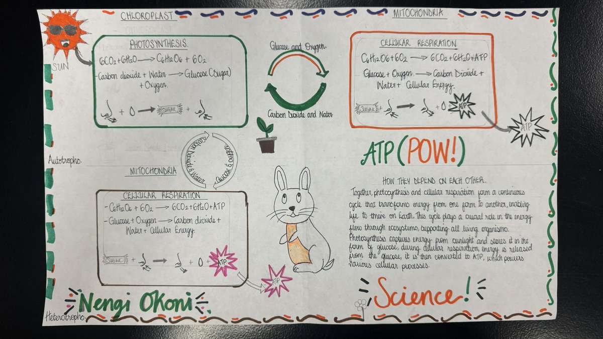 Spalding Biology tweet media