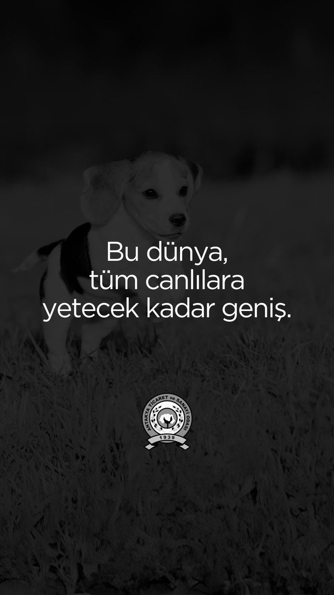HikmetCincin's tweet photo. Bu dünya tüm canlıların birlikte var olabileceği kadar geniş ve cömerttir. Hayvanların yaşam hakkına saygı göstererek doğanın dengesini koruyabilir ve daha sürdürülebilir bir gelecek inşa edebiliriz. @AntakyaTso 

#HayvanHakları #DoğayaSaygı #BirlikteYaşayalım #HayvanlarıKoruyalım #YaşamHakkı #SürdürülebilirGelecek #TümCanlılaraYerVar