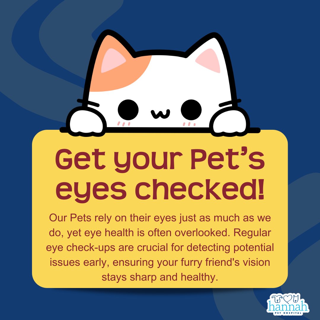 HannahSociety's tweet photo. Don’t overlook your Pet’s eye health! Regular check-ups are key to catching issues early and keeping their vision sharp. Schedule a comprehensive ocular exam today! 🐾👁️ #PetEyeHealth #VetCare #HealthyPets https://t.co/1B6rOueZiE