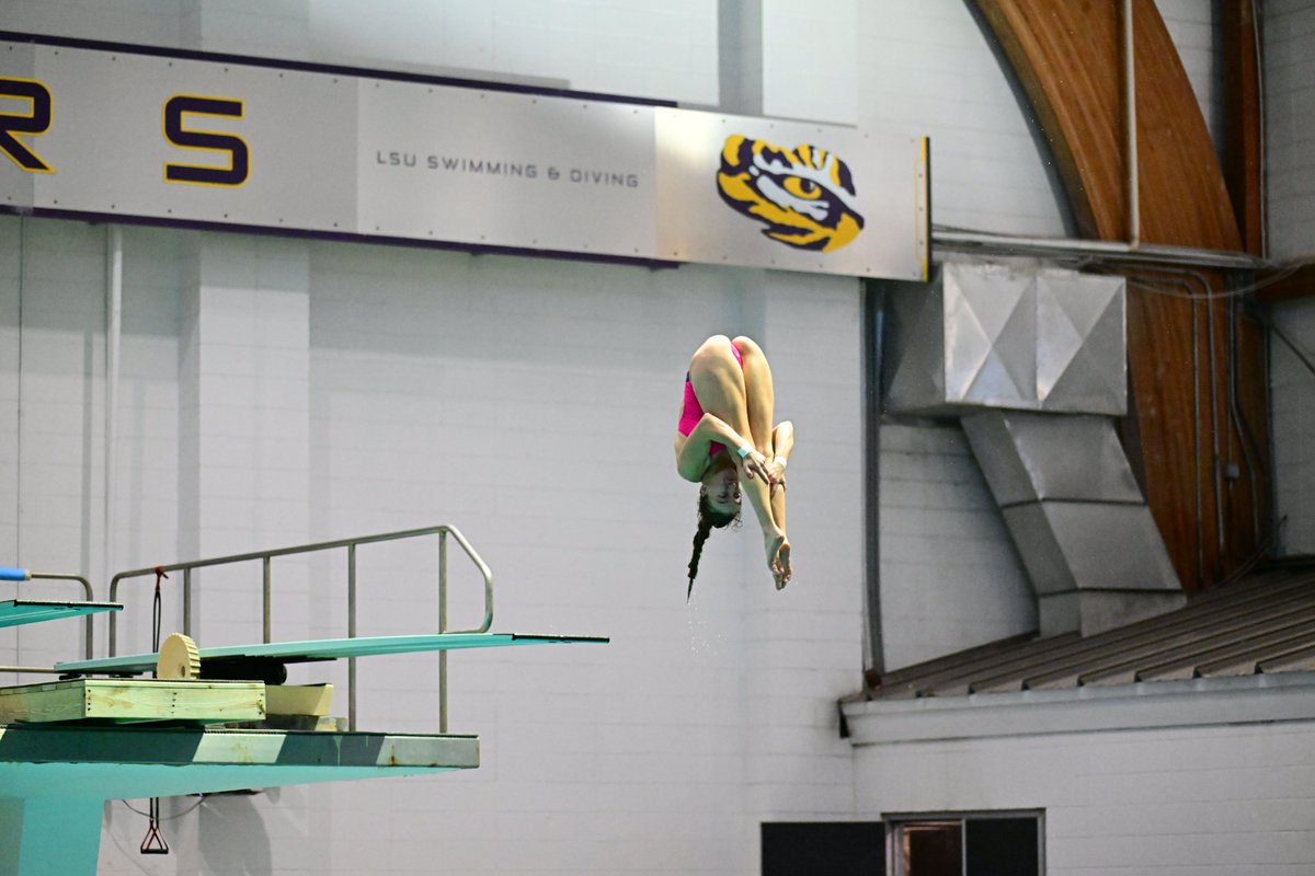 LSUSwimDive's tweet photo. Off to a Great Start 

Monste, Helle, and Maggie sweep the top 3 spots in the Women's 3-Meter Diving event! https://t.co/4uTvN3FrP0