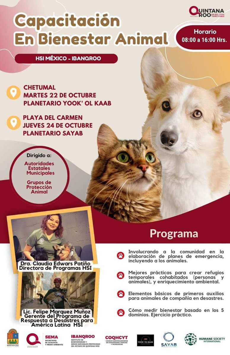 Gobierno Quintana Roo tweet media