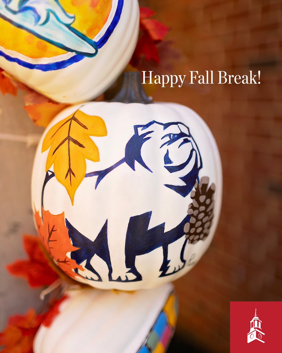 SamfordOneStop's tweet image. Whether you’re traveling or relaxing on campus, we hope you have a wonderful and safe Fall Break. We look forward to seeing you when you return! 🍁🍂