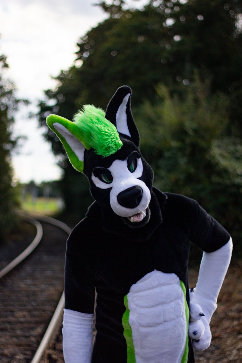 What are you up to tonight?
#FursuitFriday 
📷 by <a href="/stefan_shepherd/">Bestestest Boi ™</a>