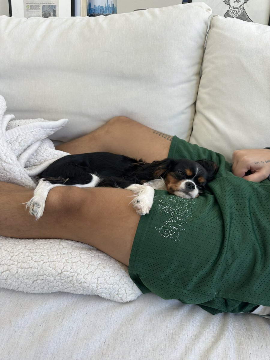 B.W. Carlin tweet media