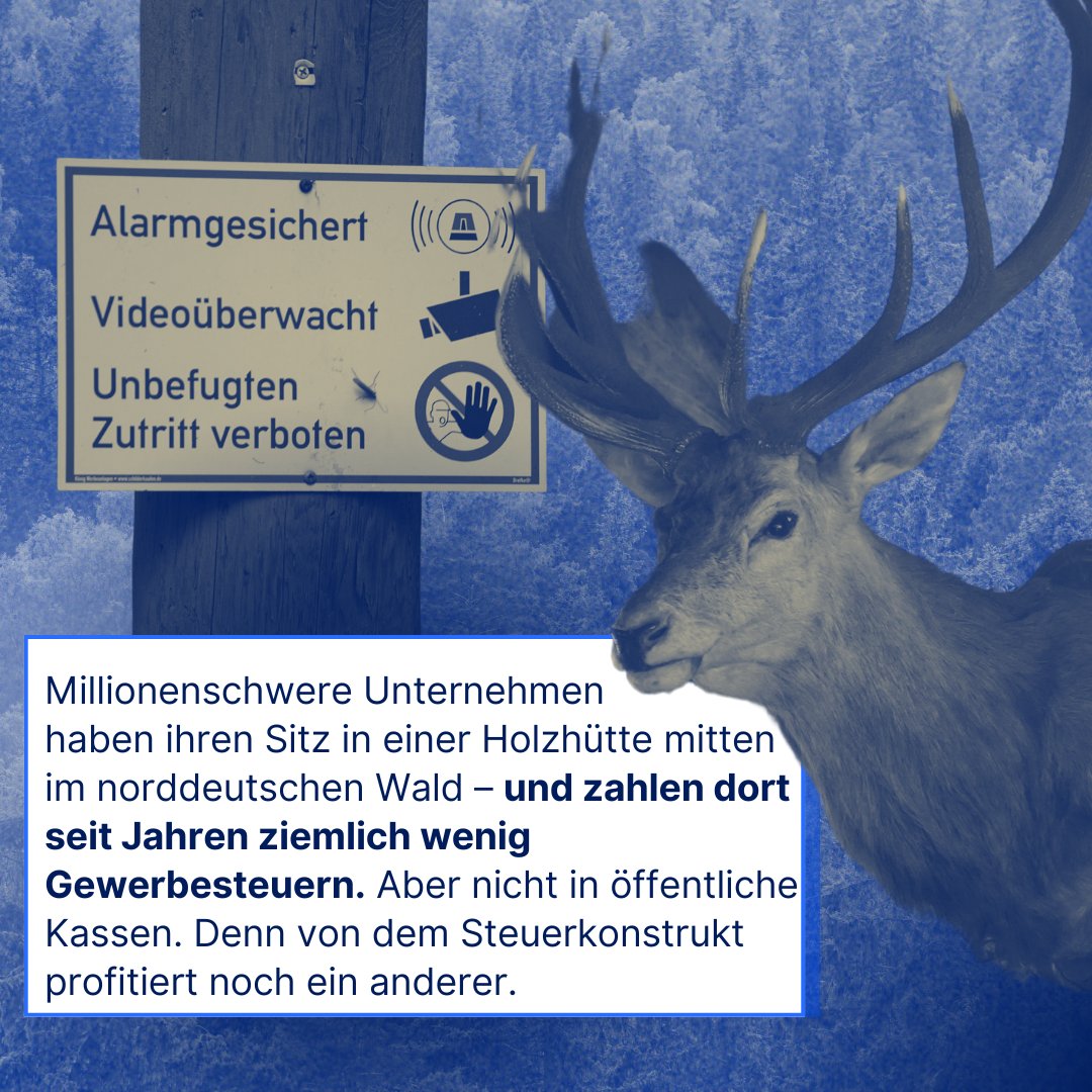 Millionenschwere Unternehmen können im norddeutschen Sachsenwald ziemlich viel Gewerbesteuern sparen, denn: Dort zahlen sie nur rund halb so viel wie etwa in Hamburg. Und sie zahlen nicht in öffentliche Kassen – sondern an den Gutsbesitzer: Bismarck.