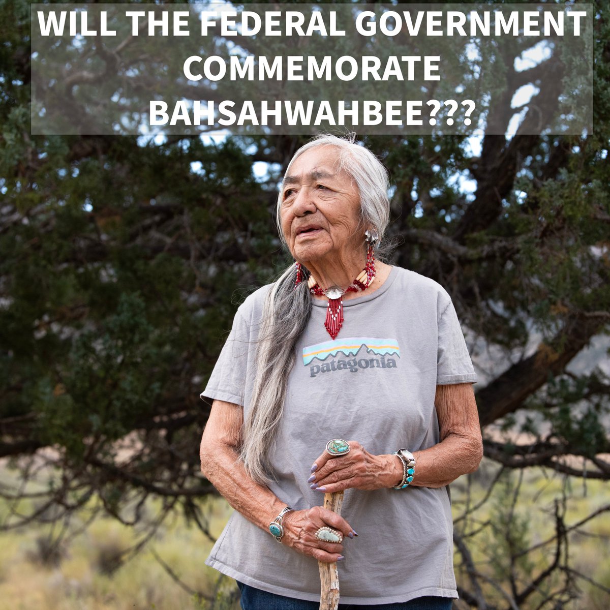 Great Basin Water Network tweet media