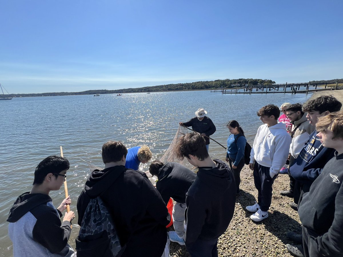 Mrs. Strauch tweet media