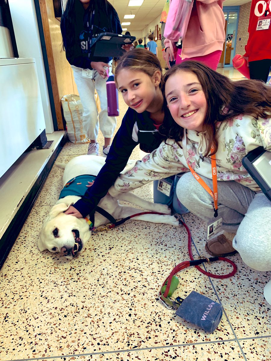 OMS Library (@lib_oms) on Twitter photo Always love sporting my rainbow gear to celebrate our amazing Ally Week <a href="/OMS_NY/">Oceanside MS</a> run by our GSA. The OMS Library takes the OMS Safe Schools Ally pledge! Our doors are always open for all! #allyweek #BeAnAlly #takethepledge Always love sporting my rainbow gear to celebrate our amazing Ally Week <a href="/OMS_NY/">Oceanside MS</a> run by our GSA. The OMS Library takes the OMS Safe Schools Ally pledge! Our doors are always open for all! #allyweek #BeAnAlly #takethepledge