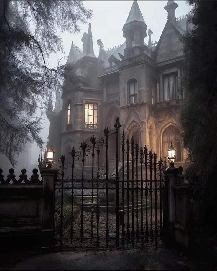 funfoodpolls's tweet image. ₊˚⊹ spend the day as a vampire! ₊˚⊹
⟡🐦‍⬛₊˚⊹♡
interactive thread 🪡