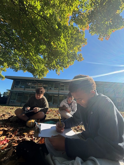 𝕎𝕖𝕝𝕤𝕙 𝕍𝕒𝕝𝕝𝕖𝕪 𝕄𝕊 🐉 tweet media