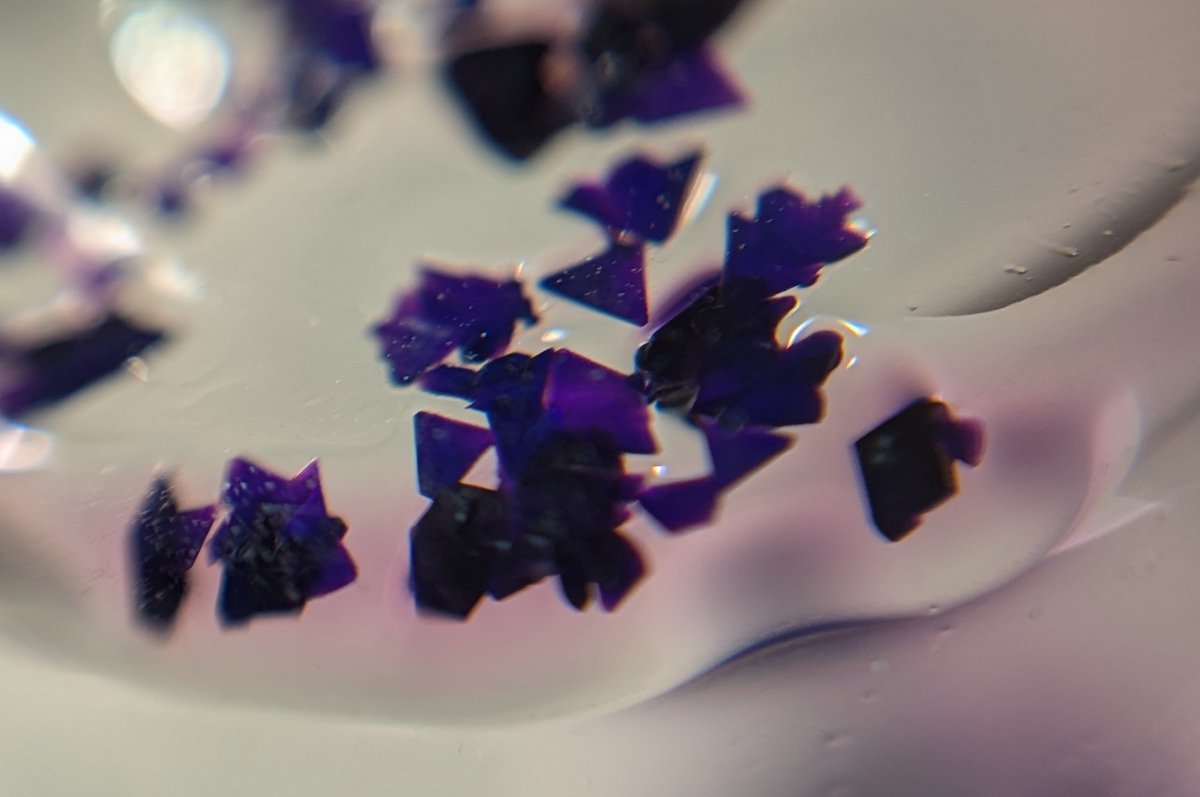 Jesse LeBlanc tweet media