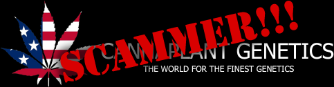 SocalSeedVault's tweet image. 🚨 SCAMMER ALERT! 🚨

Hey everyone, A site popped up and cloned the content from ours. Here is the URL - cannaplantgenetic.com . 

Our site has not been compromised. Don't want anyone getting scammed 🙏. If you could retweet and let others know we would greatly appreciate it.…