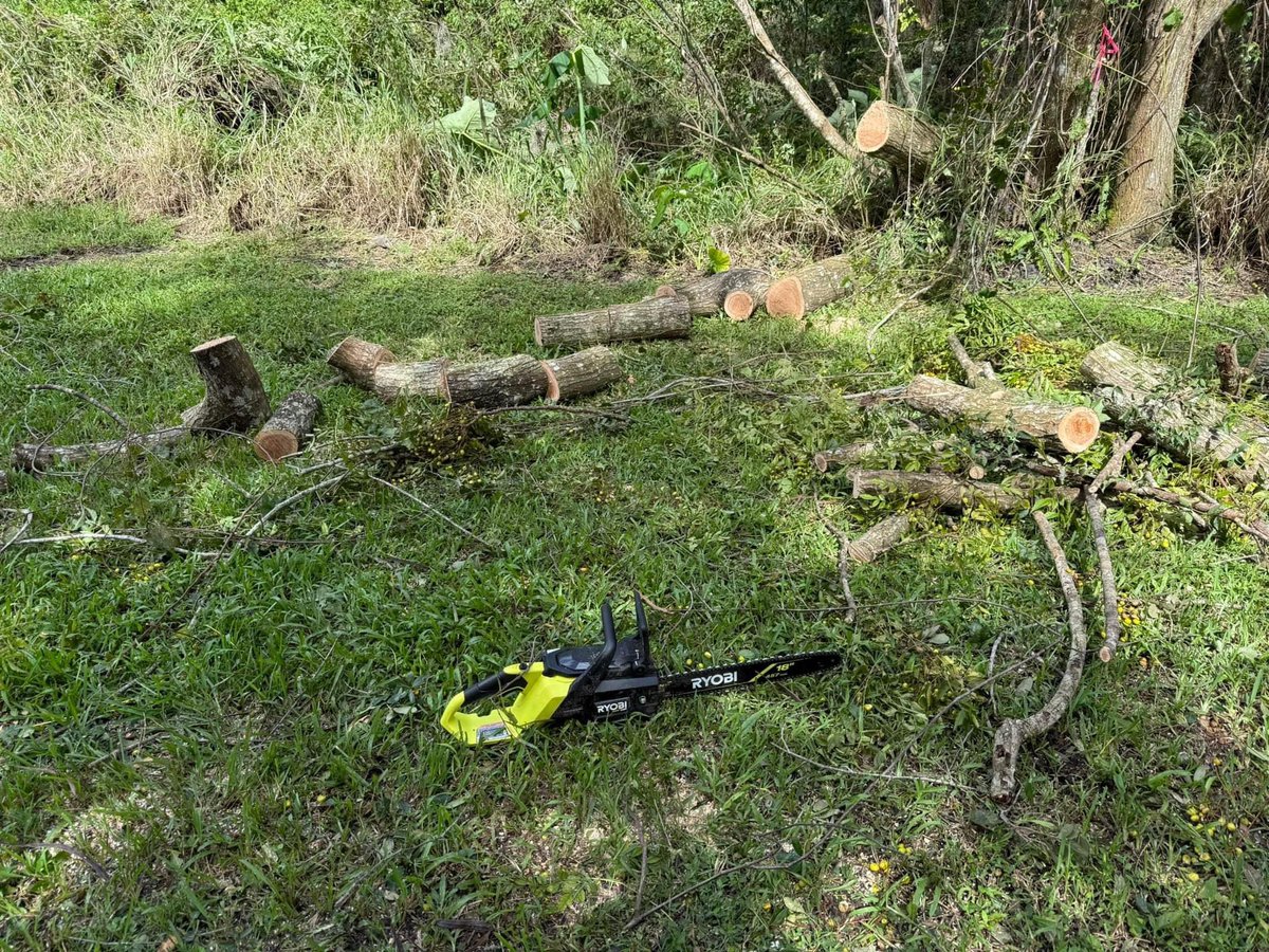 Husb cleaned up post #HurricaneMilton. Had a tree on the fence &amp; didn’t want to mess with gas chainsaws anymore. So went to <a href="/HomeDepot/">The Home Depot</a>, got a <a href="/RYOBItoolsusa/">RYOBI Tools USA</a> 18” 40V 6ah chainsaw. Now no messing with mixing &amp; leftover gas. Pull battery, clean up &amp; put away till next time. #Ryobi