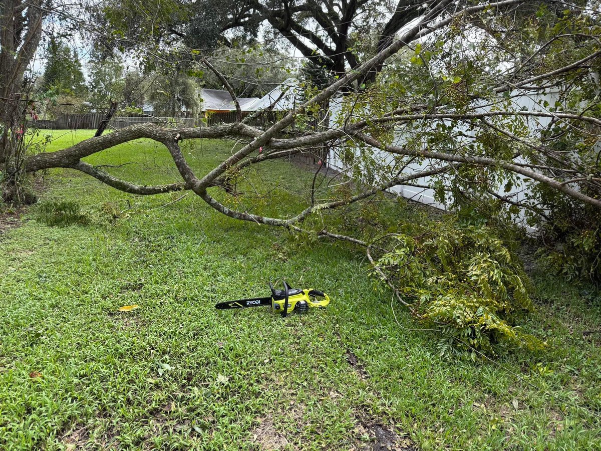 TLF66's tweet photo. Husb cleaned up post #HurricaneMilton. Had a tree on the fence &amp; didn’t want to mess with gas chainsaws anymore. So went to @HomeDepot, got a @RYOBItoolsusa 18” 40V 6ah chainsaw. Now no messing with mixing &amp; leftover gas. Pull battery, clean up &amp; put away till next time. #Ryobi https://t.co/VJYTElwDWI
